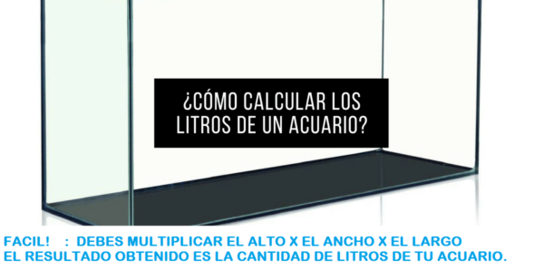 Acuario grande. - Imagen 3